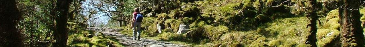Image of the Kerry Way